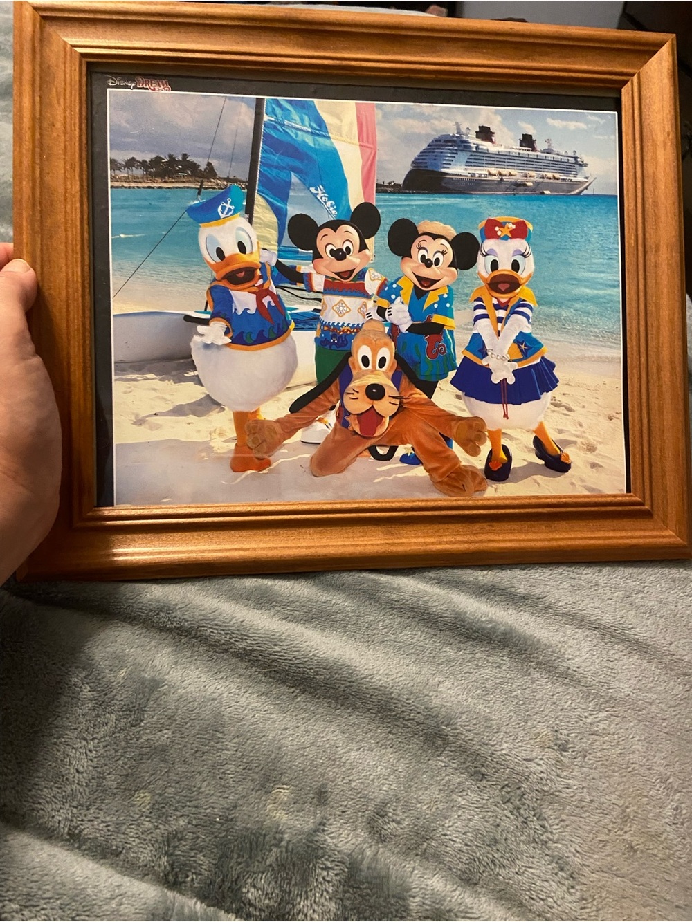 Disney Framed Beach Character Print authentic dream cruise line 12x10